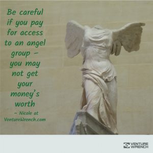 Be Careful Paying For Angel Groups